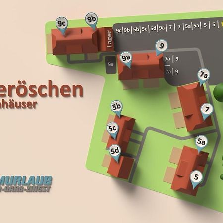 Heideroeschen Park Heideroeschen 5C Villa Цингст Екстериор снимка